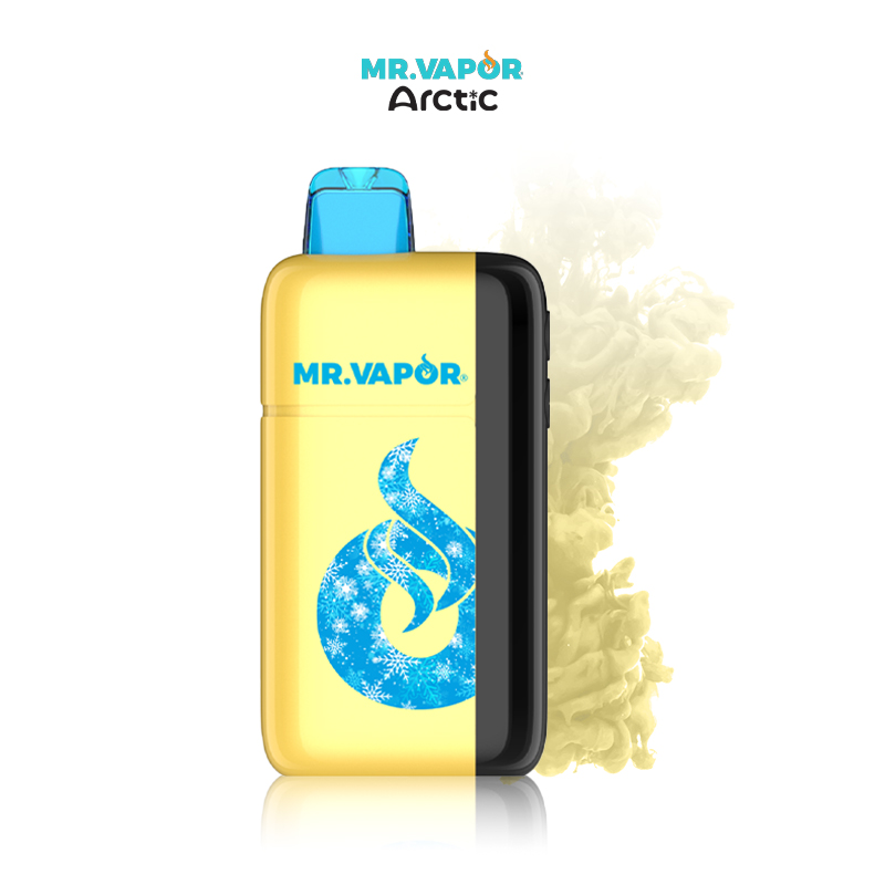 MR. VAPOR ARCTIC 30000 PUFFS DISPOSABLE VAPE 5CT/DISPLAY