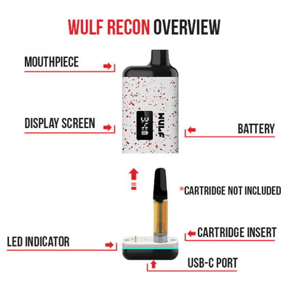 WULF MODS RECON CARTRIDGE BATTERY 9CT/DISPLAY