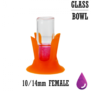 GLASS SLICED 10/14MM FEMALE OIL DOME 5CT/PK