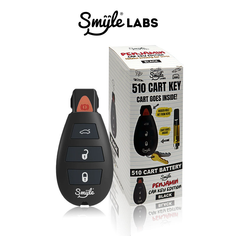 SMYLE LABS PENJAMIN CAR KEY VAPE BATTERY 5CT/DISPLAY